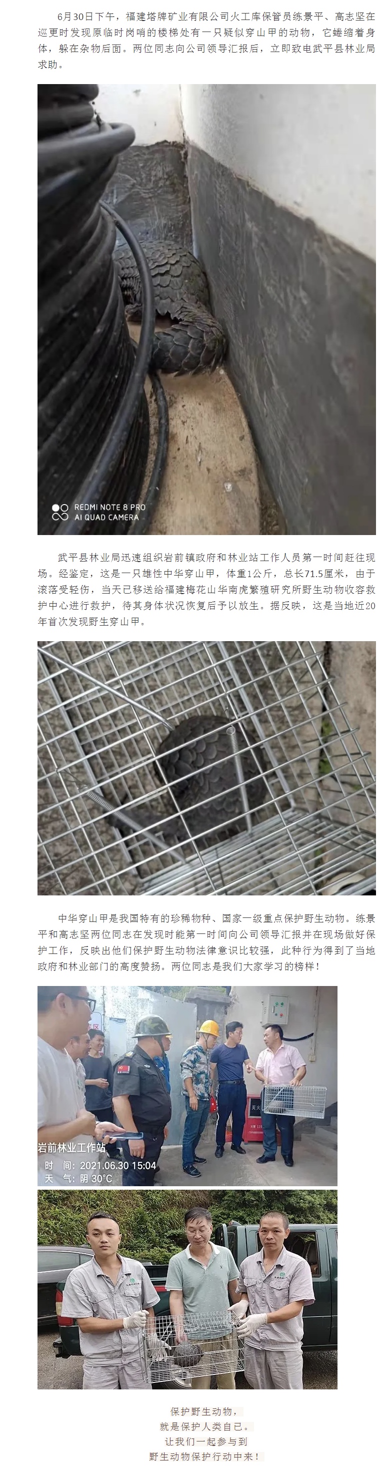 918������(�й���)����